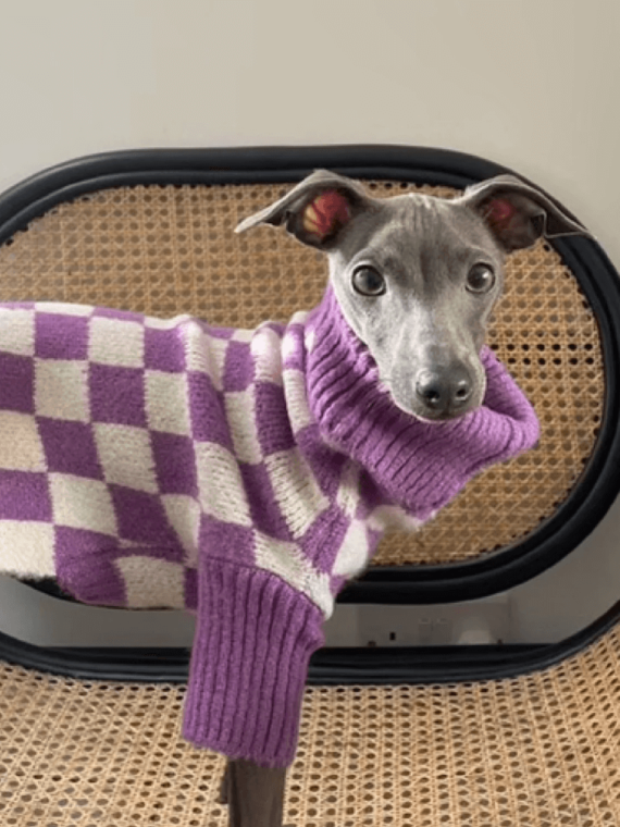 Meet the Parents X Wray Sweater