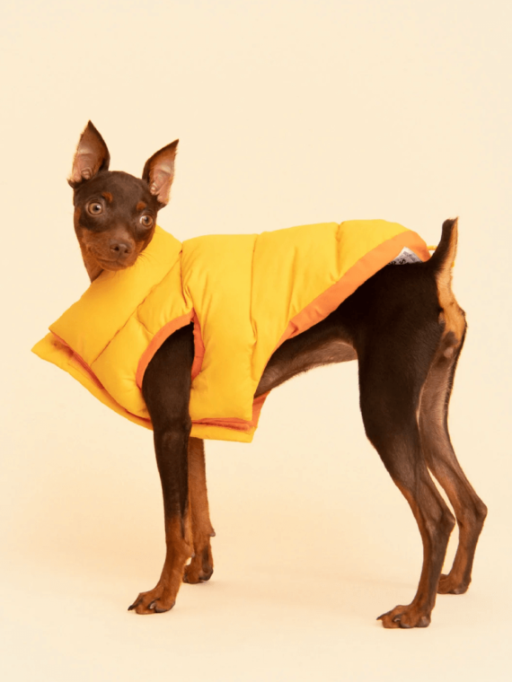 The Super Duper Reversible Parka Vest - Orange