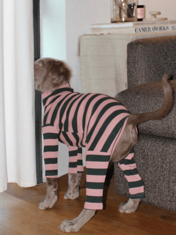 Pink Elephant Onesie