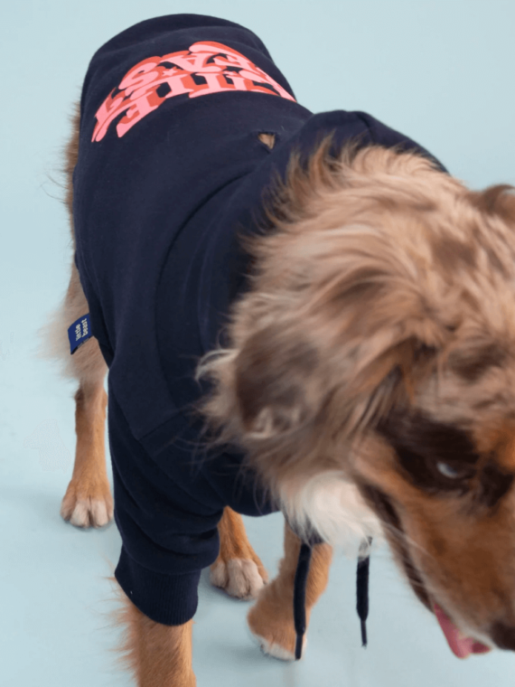 Little Beast Hoodie - Navy